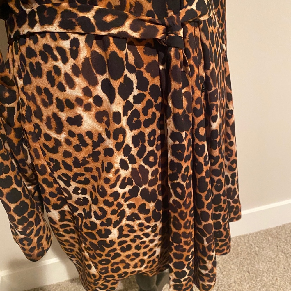 Express Animal Print Dress